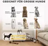 Collage of different dog breeds and a diagram showing dog size recommendations. Produktbild-Vorschau