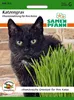 Artikelbild 1 von 'Katzengras' aus der Kategorie Kleintiersaaten Produktbild-Vorschau