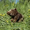 Plüsch-Wildschwein 28 cm umweltfreundlich Produktbild-Vorschau 3