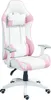 HOMCOM Gaming Stuhl Bürostuhl Ergonomisch mit Lendenkissen, Produktbild-Vorschau 1