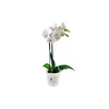 elho green basics Orchidee 15cm - transparent Produktbild-Vorschau 8