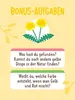 Suchen, Finden, Staunen - Meine Entdeckerkarten - Natur Produktbild-Vorschau 8