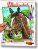 Noris Spiele Malen nach Zahlen - Pferdeportrait; 609240381 Produktbild-Vorschau 3
