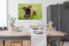 MuchoWow® Poster Boxerwelpe liegt im grünen Gras 120x80 cm Produktbild-Vorschau 3