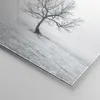 Bilder auf glas - Baum Feld Natur - 40x40cm - Glasbilder - Produktbild-Vorschau 5