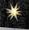 A lit star decoration stands on a pole in front of a dark forest. Produktbild-Vorschau