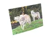 3 D Ansichtskarte Wölfe, Wolf  Postkarte Wackelkarte Produktbild-Vorschau 3