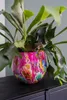 Collezione TS - Blumentopf Fiesta fucsia - 24x21 Anteprima dell’immagine prodotto 8