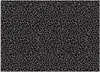 Fototapeta filzelinowa Pantera leopard tekstura wzór 100x70 Podgląd zdjęcia produktu 2