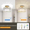 A split image showing a crystal ceiling light in two different color temperatures, with a comparison of light bulb types at the bottom. Produktbild-Vorschau