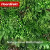 Floordirekt Ściana roślinna Wonderland, panel z roślinami Podgląd zdjęcia produktu 3