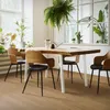 A dining table with chairs in a bright, modern room with plants. Náhľad obrázku produktu