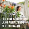 COMPO COMPLETE Pflanzendünger 1 Liter Produktbild-Vorschau 7