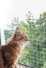 Kerbl Katzen-Schutznetz 6x3 m Transparent Produktbild-Vorschau 6