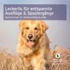 A golden retriever dog sitting in dry grass with a blurred background. Produktbild-Vorschau