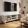 Meuble TV "Katanshumn" avec 2 portes et 2 étagères Voir les images du produit 4