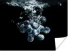 MuchoWow® Poster Blaubeeren - Obst - Beeren - Stillleben - Produktbild-Vorschau 1