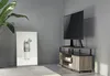 A TV stand with a TV on it, placed in a room with a plant and a picture. Produktbild-Vorschau