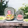 Mr. & Mrs. Panda Frischhaltedose Schildkröte Pfeifen XL Produktbild-Vorschau 4