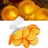 luci da 1,5 m con 10 LED - illuminazione da giardino, Anteprima dell’immagine prodotto 2