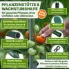 TTL GARDEN Rankstäbe 15er Set 240cm 11mm Pflanzenstütze + Produktbild-Vorschau 3
