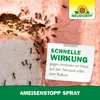 AmeisenStopp Spray schnelle Wirkung gegen Ameisen im Haus auf Terrasse und Balkon Produktbild-Vorschau