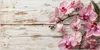 Küchenrückwand Spritzschutz Glas mit Motiv Orchideen auf Produktbild-Vorschau 3