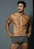 H.I.S. Boxer Boxershorts für Herren 5 -teilig blau Größe L Produktbild-Vorschau 4