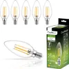 A product shot of multiple LED light bulbs and a product box. Produktbild-Vorschau