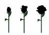 Set di costruzioni Lebula, rose nere, bouquet, 443 elementi Anteprima dell’immagine prodotto 6