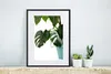 MuchoWow® MuchoWow® Gerahmtes Poster Monsterpflanze im Topf Produktbild-Vorschau 6