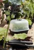Anzuchthaube elho Anzuchthaus Haube S Green Basic ca. 24 x Produktbild-Vorschau 3