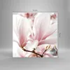 Bilder auf glas - Einteilig - Zweig Magnolie Blume - Produktbild-Vorschau 3