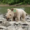 Peluche Rinoceronte 23 Cm Ecologico Anteprima dell’immagine prodotto 5