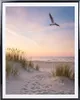 A beach scene at sunset with a path leading to the ocean and a seagull flying overhead. Produktbild-Vorschau