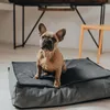 Hunter Orthopädisches Hundekissen Merida, Größe:M, Produktbild-Vorschau 14