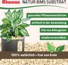 Blusana Bims Pflanzsubstrat 10 Liter grobe Körnung 8-16mm Produktbild-Vorschau 3
