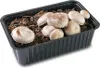 PLANTO Sada pro domácí pěstování Žampión bílý 3 l (Agaricus Náhled obrázku produktu 2
