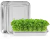 Set von 2 Keimsets für Sprossen mit Edelstahl-Sieb Produktbild-Vorschau 1