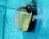 Dolphin E35i Poolroboter mit PVC Bürste und App-Steuerung Produktbild-Vorschau 5