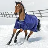 A brown horse wearing a blue blanket runs through the snow. Produktbild-Vorschau