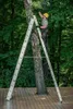 A person is using a ladder to trim branches from a tree in an outdoor setting. Anteprima dell’immagine prodotto