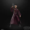 A Star Wars Black Series action figure of Padmé Amidala holding a blaster, standing against a black background. Náhled obrázku produktu