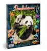Noris Spiele Malen nach Zahlen - Pandabären; 609240712 Produktbild-Vorschau 4