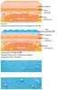 Kinesiotaping bandeKinésiologiepatch 5m Voir les images du produit 7