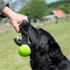 Dog Comets Hundespielzeug Meteor Wurfstock grün, Größe: L Produktbild-Vorschau 7