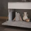Wohnzimmerschrank Vicco Berno Beton/Weiß 70.8 x 38.9 cm mit Produktbild-Vorschau 4