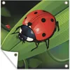 MuchoWow® Produktbild-Vorschau 1