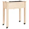 CLORIS Pflanzkübel mit Einsatz und Rollen 71x37x80 cm Produktbild-Vorschau 2