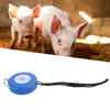 Two piglets in a barn, with a blue measuring tape below. Náhľad obrázku produktu